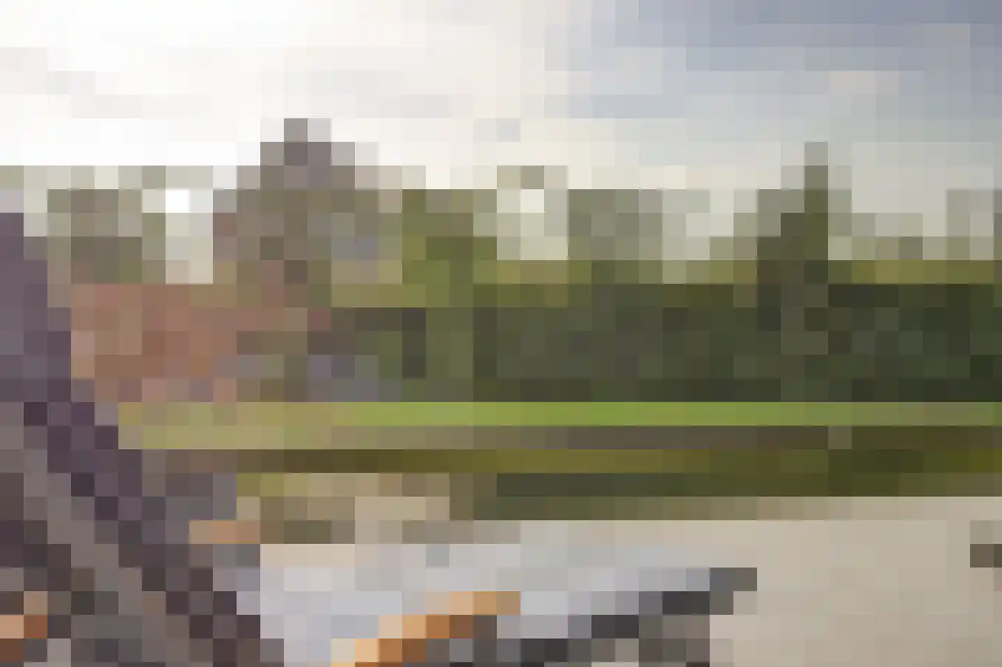Ganzeboomsland 16 Twello thumbnail 65