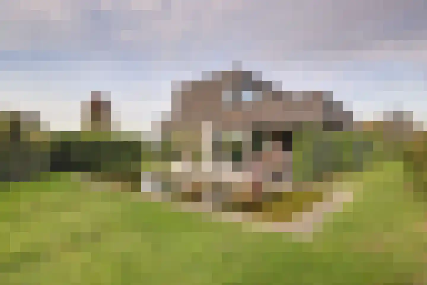 Ganzeboomsland 16 Twello thumbnail 66
