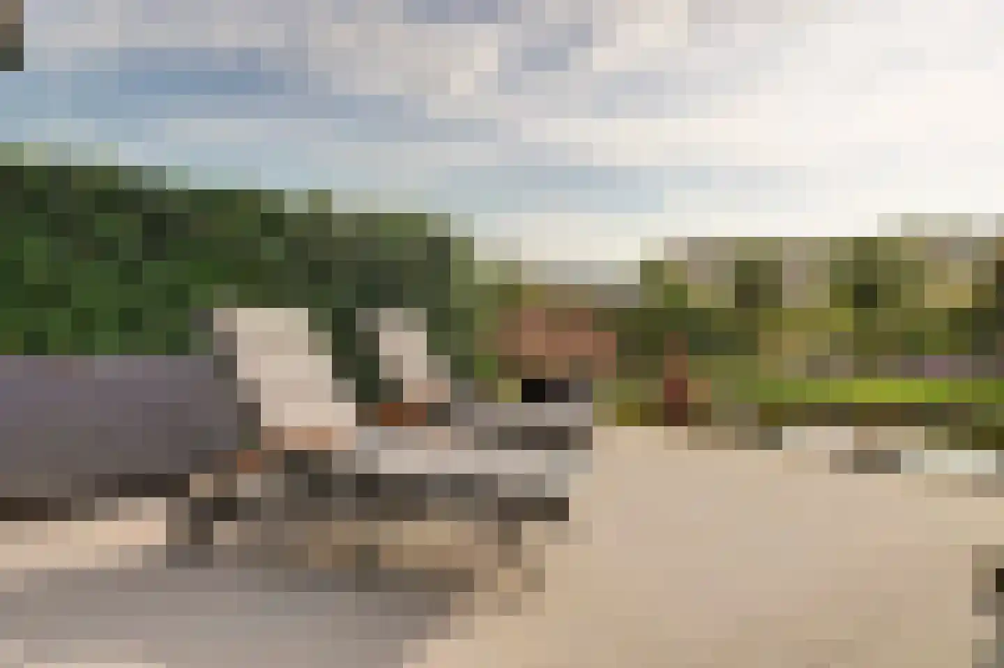 Ganzeboomsland 16 Twello thumbnail 70