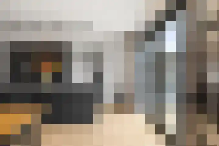 Ganzeboomsland 28 Twello thumbnail 13