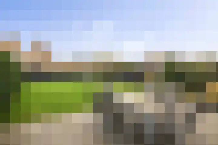 Ganzeboomsland 28 Twello thumbnail 18