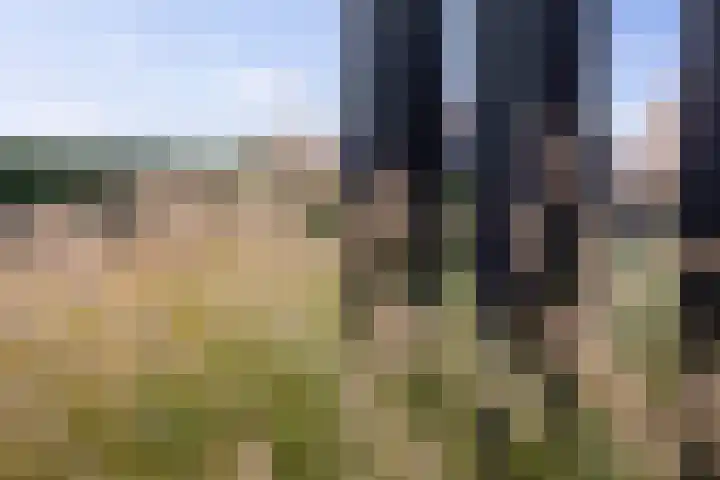 Ganzeboomsland 28 Twello thumbnail 19