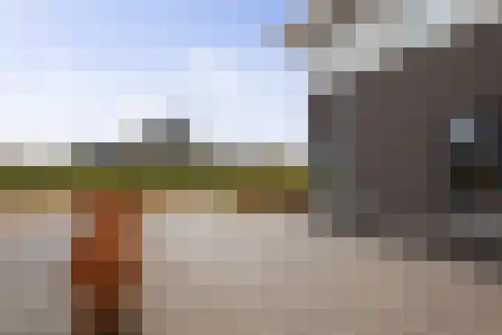 Ganzeboomsland 28 Twello thumbnail 20
