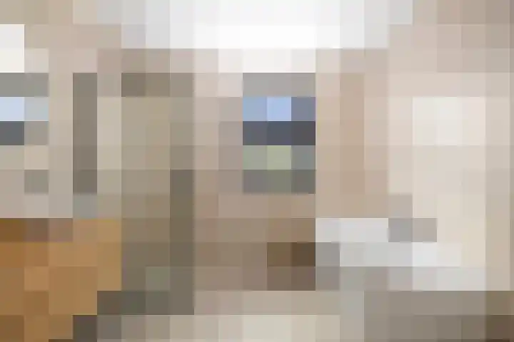 Ganzeboomsland 28 Twello thumbnail 28