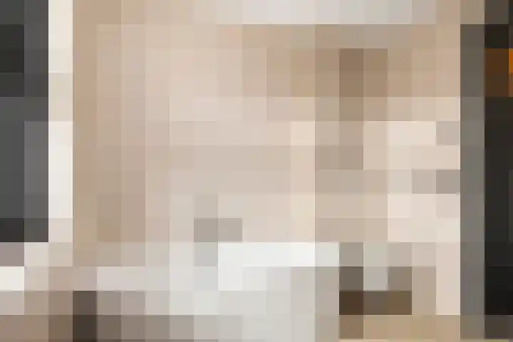 Ganzeboomsland 28 Twello thumbnail 30