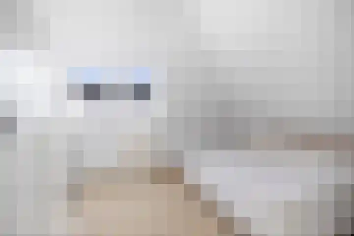 Ganzeboomsland 28 Twello thumbnail 32