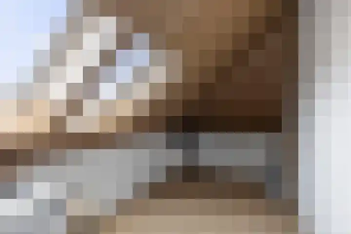 Ganzeboomsland 28 Twello thumbnail 37