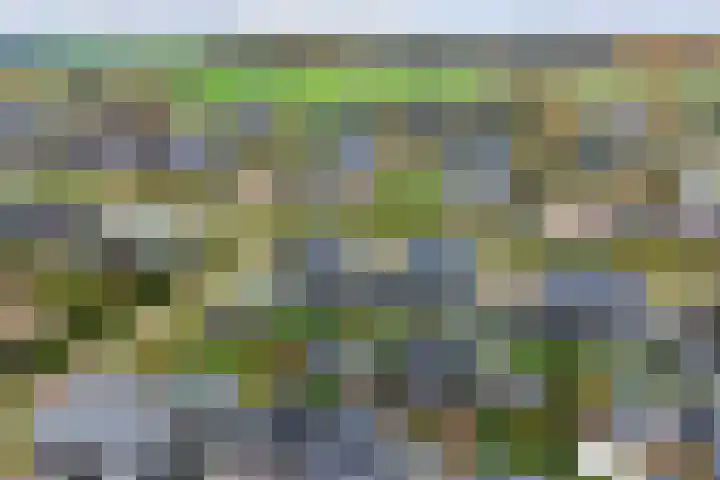 Ganzeboomsland 28 Twello thumbnail 43