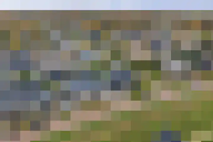 Ganzeboomsland 28 Twello thumbnail 44