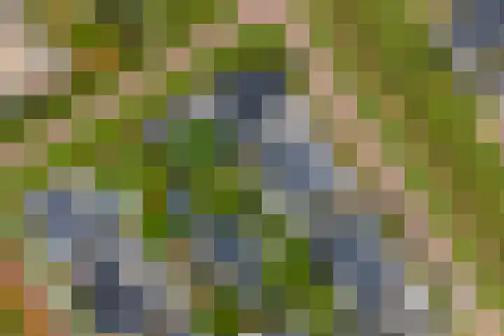 Ganzeboomsland 28 Twello thumbnail 45