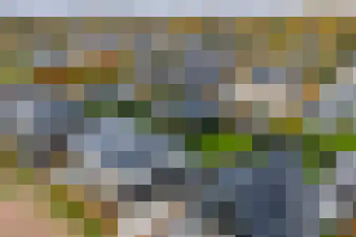 Ganzeboomsland 28 Twello thumbnail 46