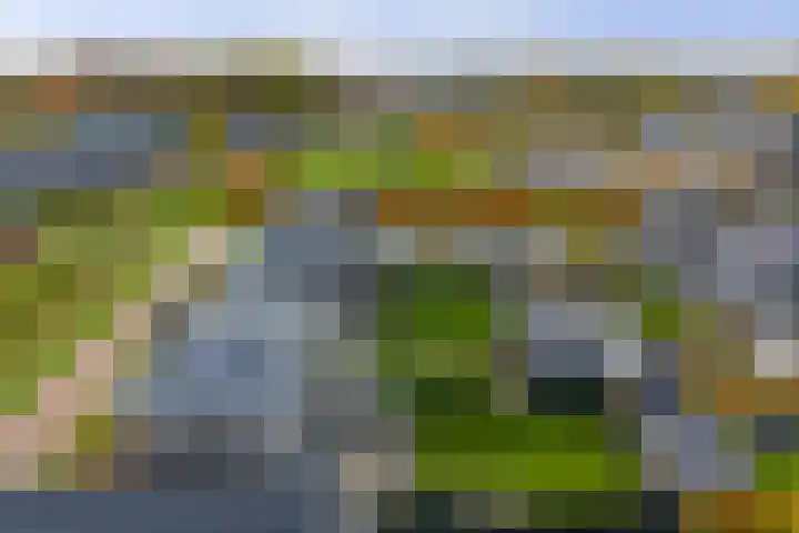 Ganzeboomsland 28 Twello thumbnail 47