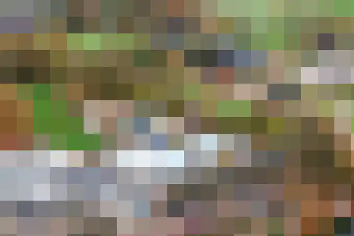 Ganzeboomsland 28 Twello thumbnail 48