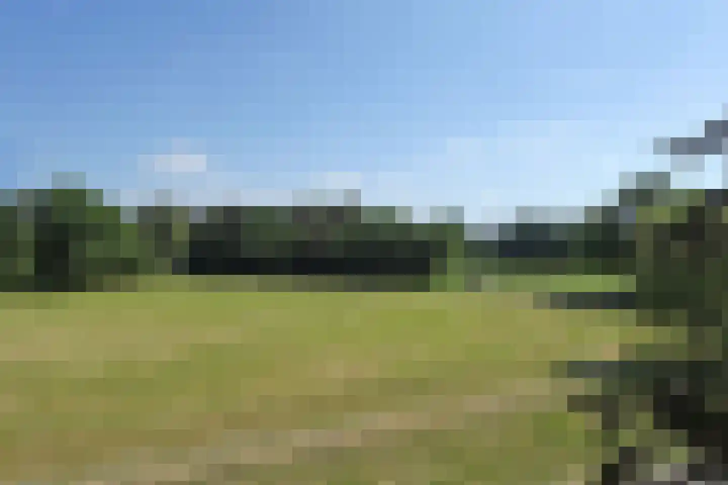 Ganzebosweg Enschede thumbnail 13