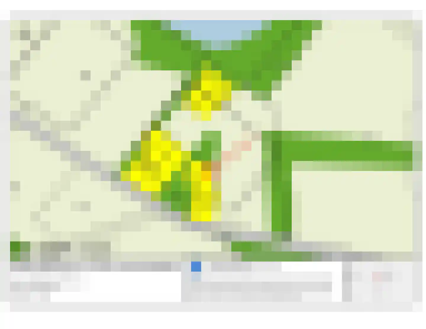 Ganzebosweg Enschede thumbnail 15