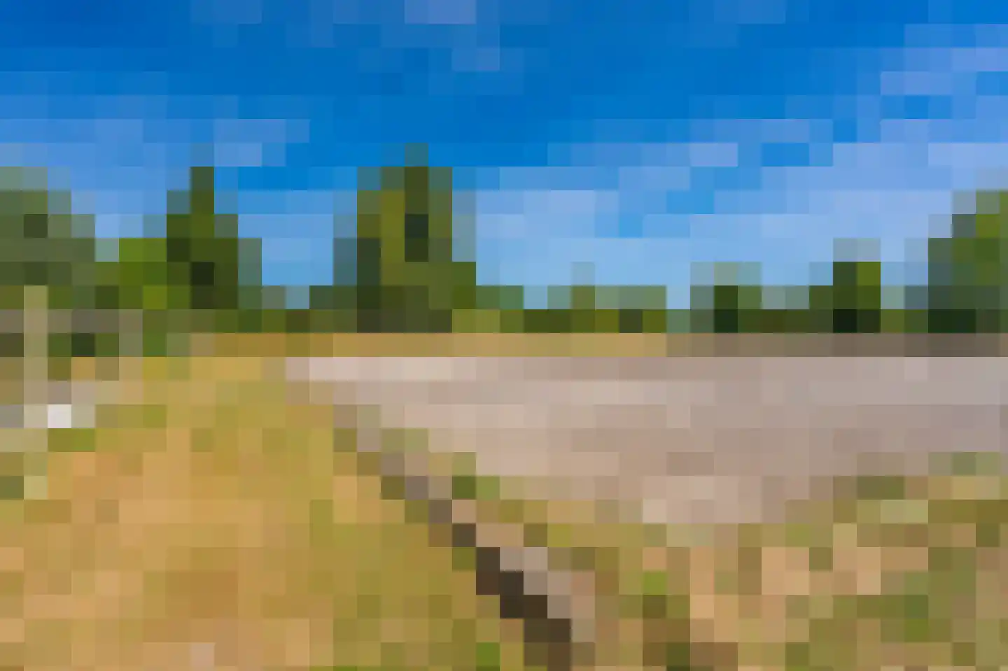 Ganzedijk 103 Finsterwolde thumbnail 63
