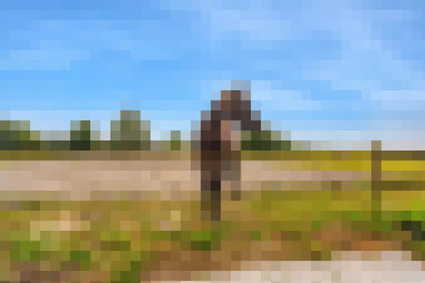 Ganzedijk 103 Finsterwolde thumbnail 64