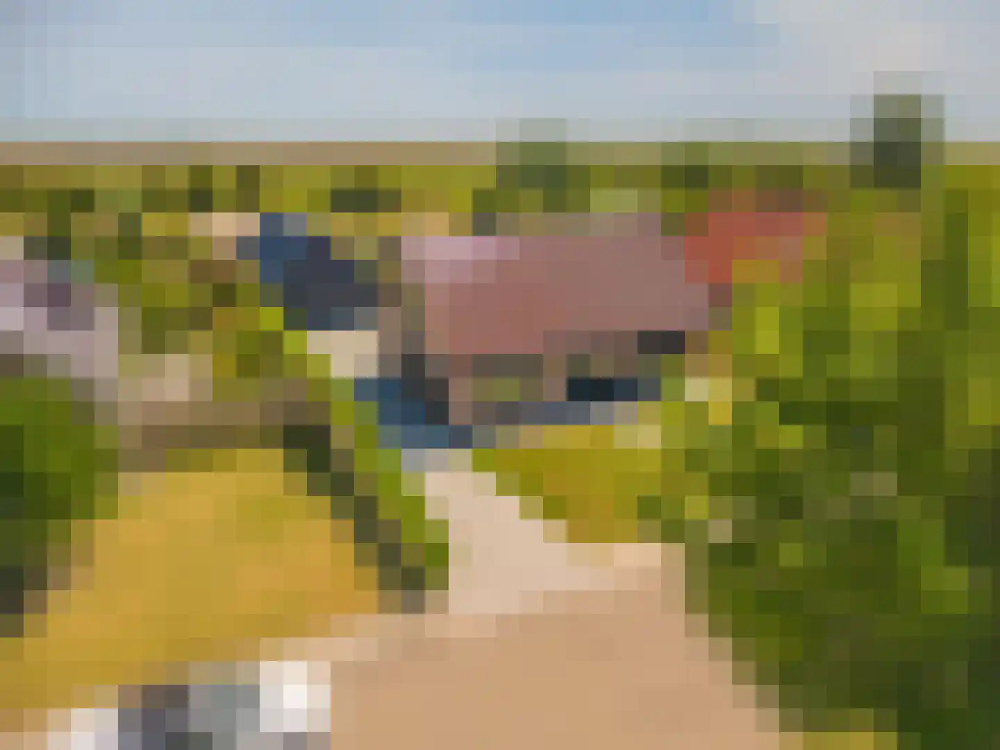 Ganzedijk 103 Finsterwolde thumbnail 68