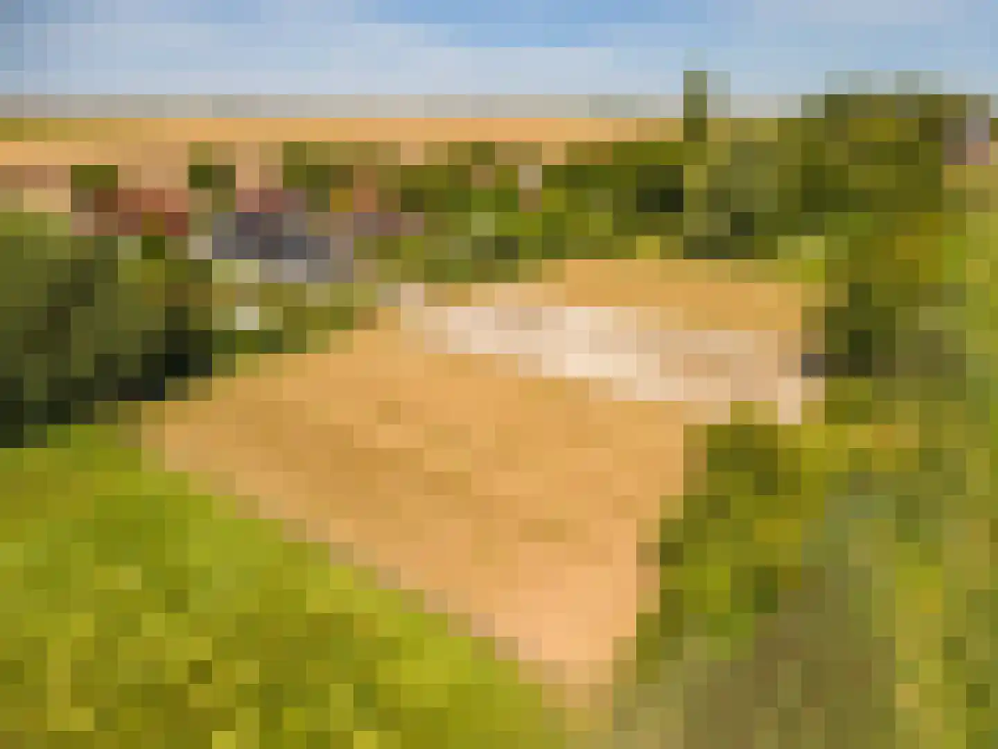 Ganzedijk 103 Finsterwolde thumbnail 71