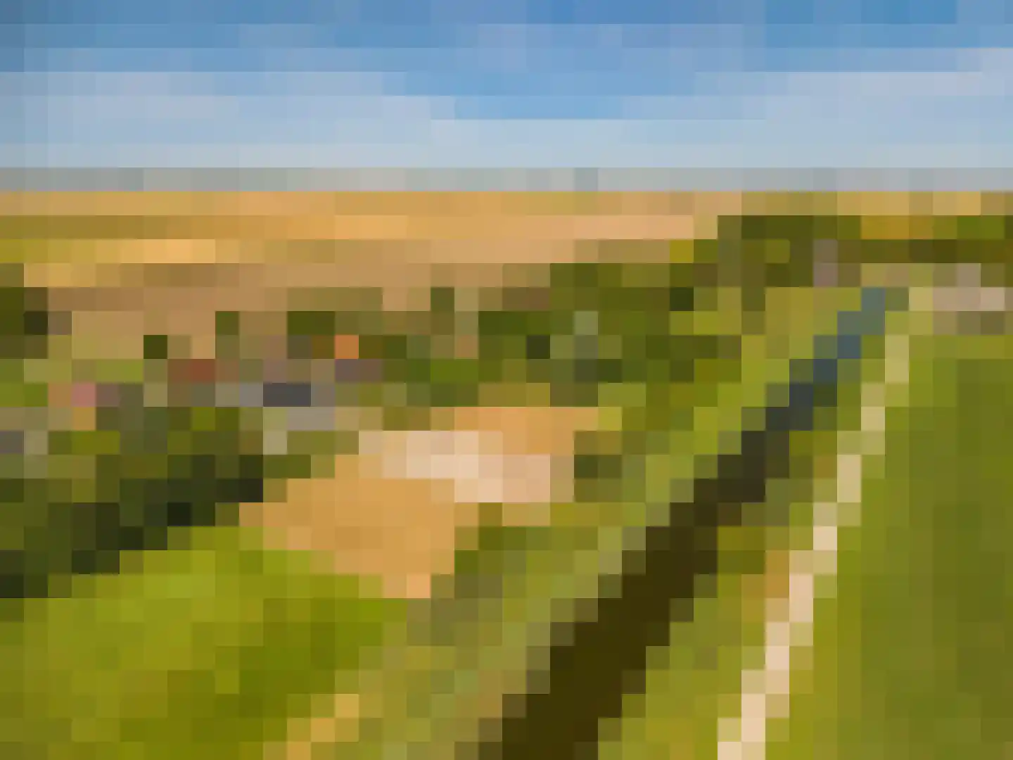 Ganzedijk 103 Finsterwolde thumbnail 72