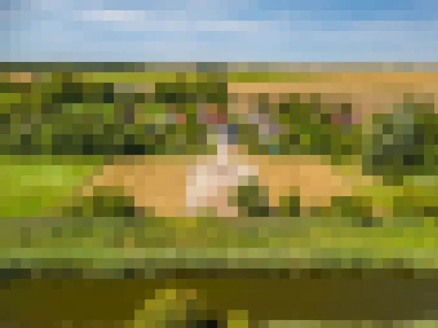 Ganzedijk 103 Finsterwolde thumbnail 73