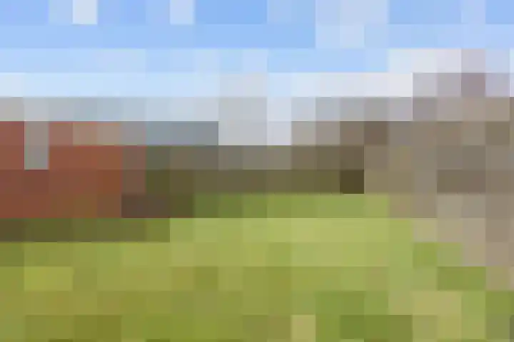 Ganzedijk 14 Finsterwolde thumbnail 31