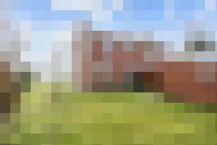 Ganzedijk 14 Finsterwolde thumbnail 32