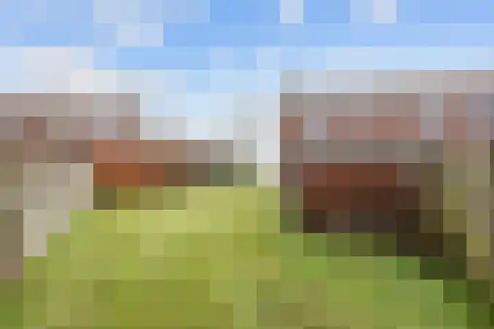 Ganzedijk 14 Finsterwolde thumbnail 33