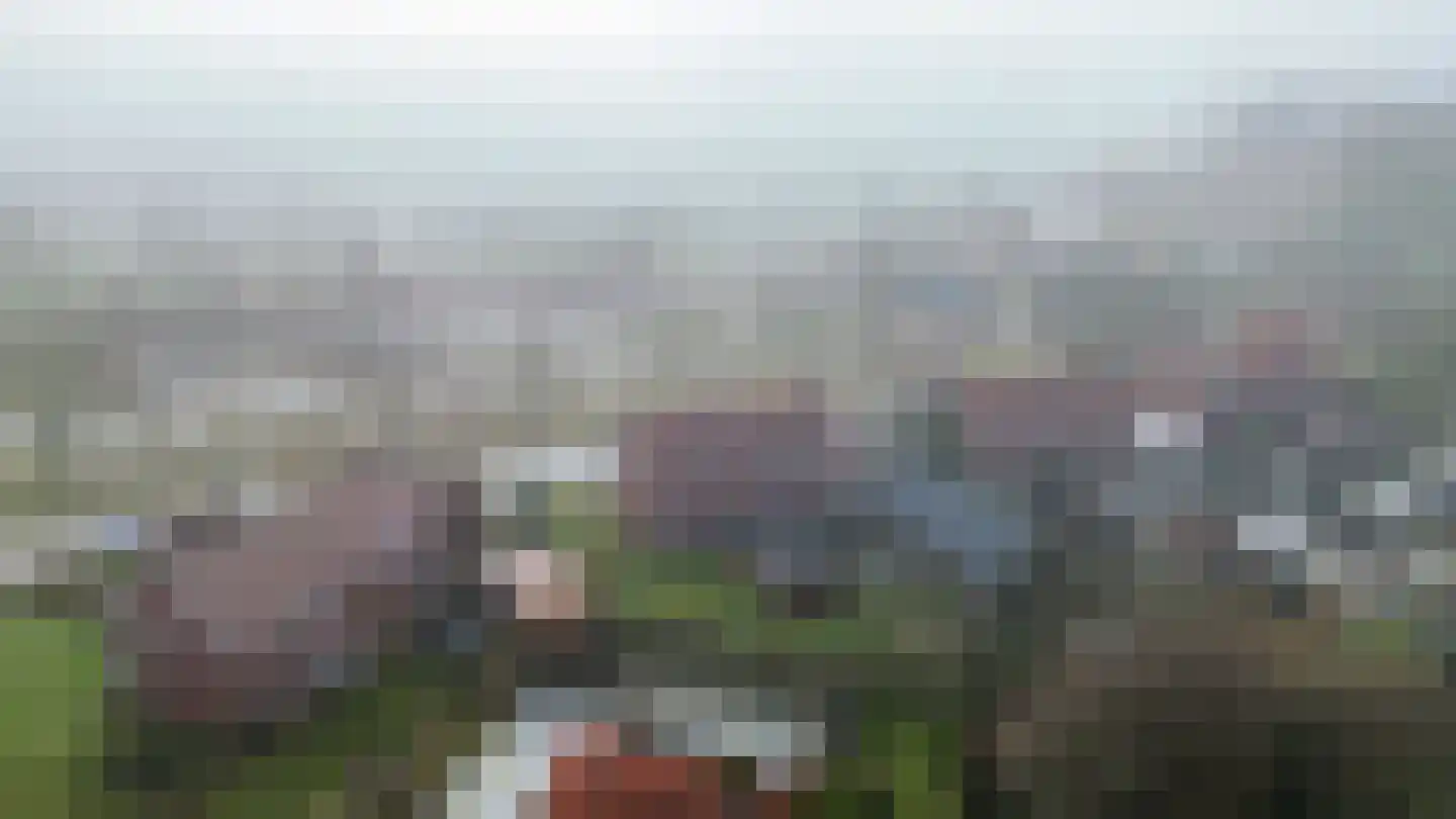 Ganzedijk 14 Finsterwolde thumbnail 38