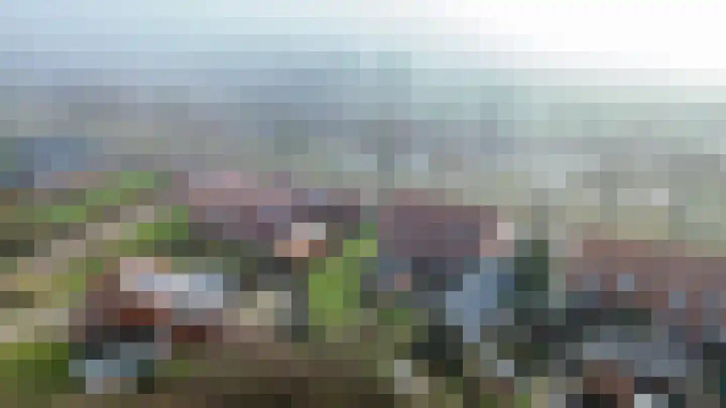 Ganzedijk 14 Finsterwolde thumbnail 39
