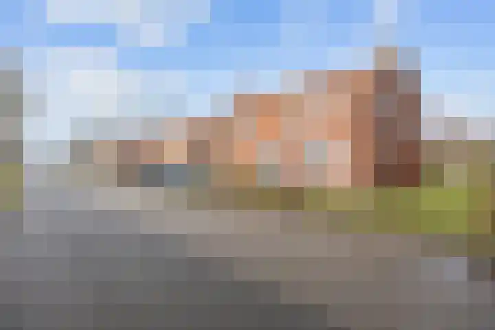 Ganzedijk 14 Finsterwolde thumbnail 5