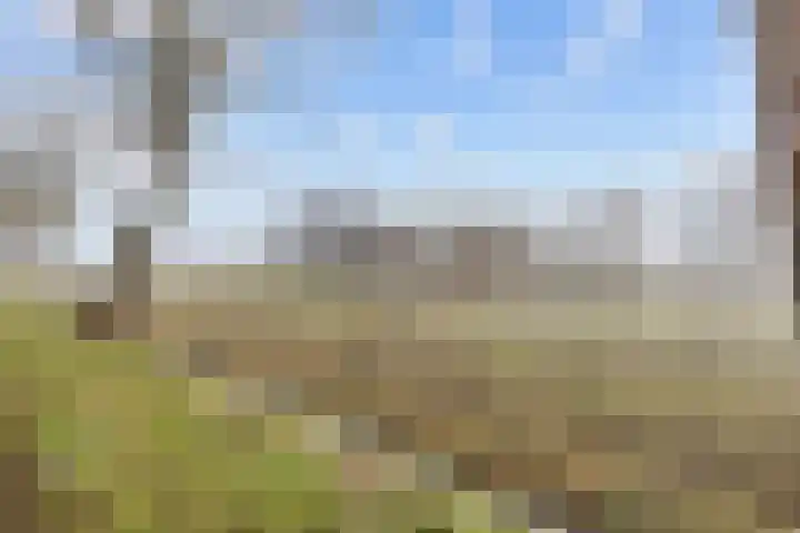 Ganzedijk 14 Finsterwolde thumbnail 6