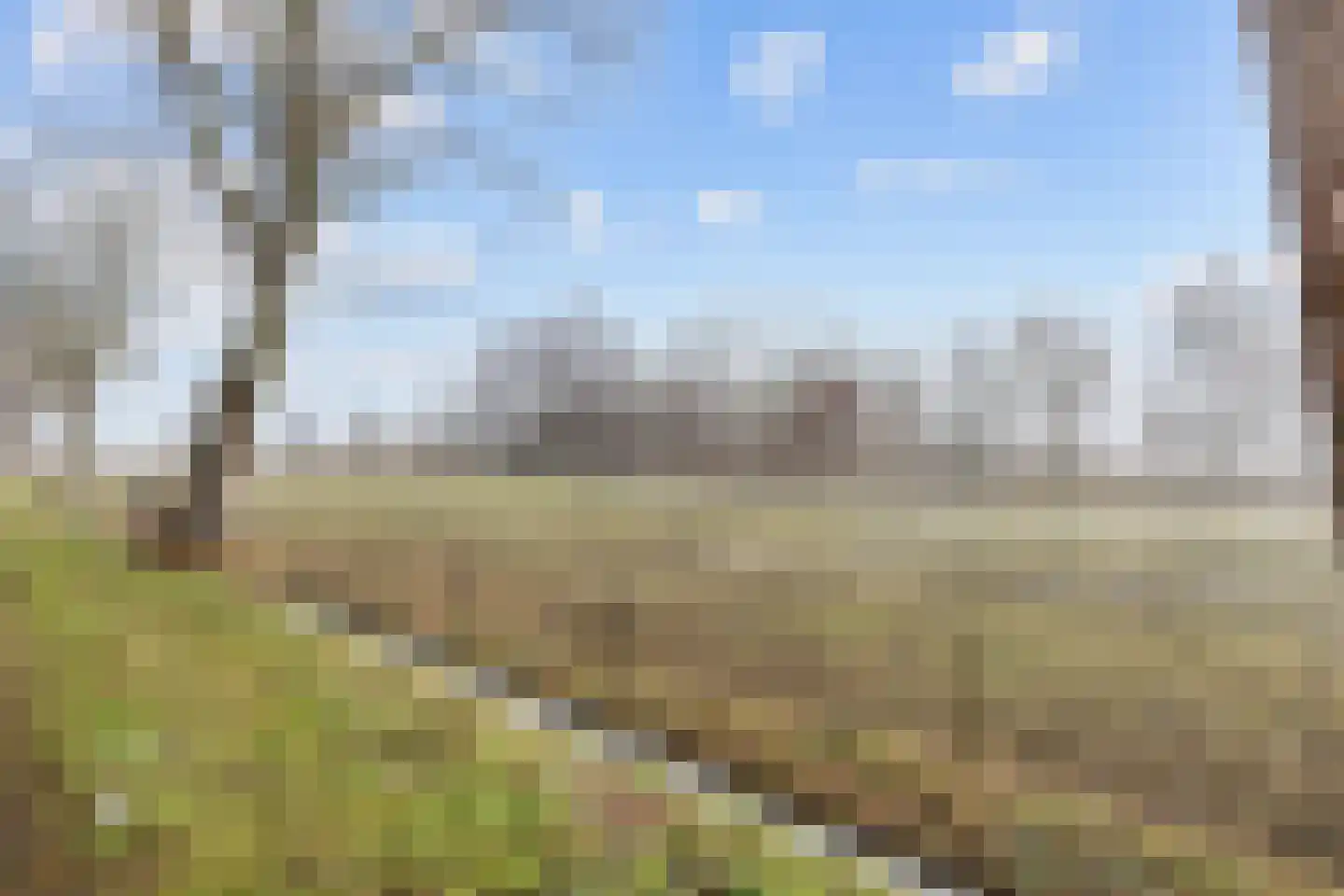 Ganzedijk 14 Finsterwolde thumbnail 6