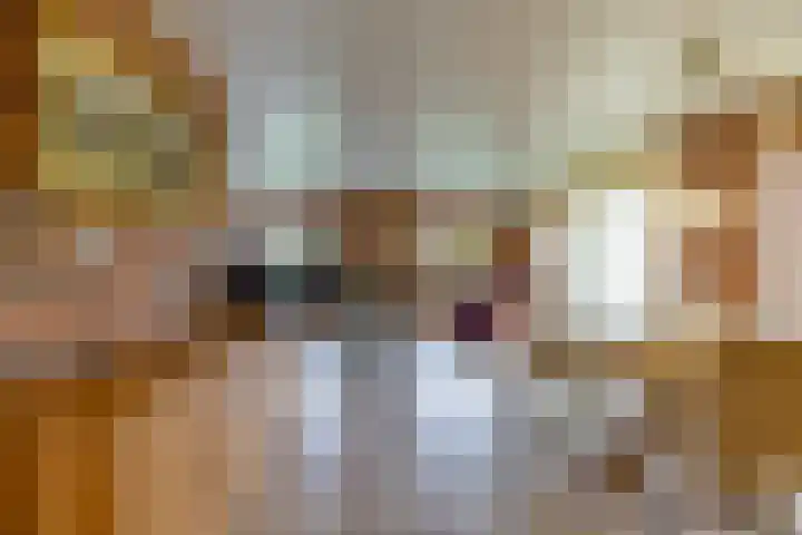 Ganzedrift 2 Slochteren thumbnail 12