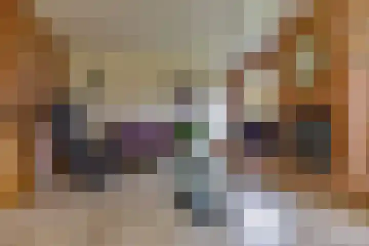 Ganzedrift 2 Slochteren thumbnail 14