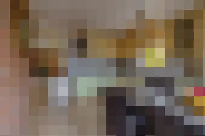 Ganzedrift 2 Slochteren thumbnail 20