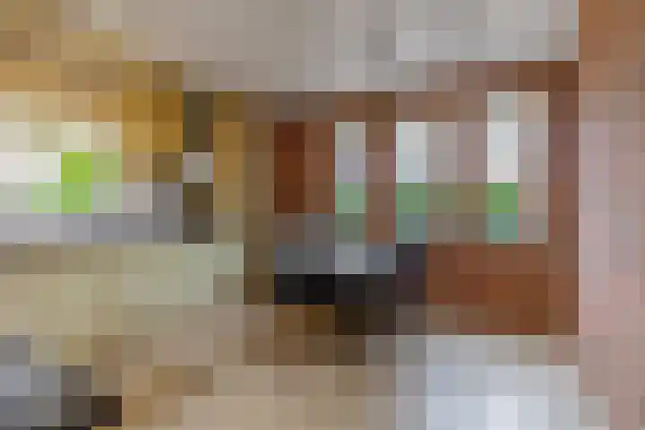 Ganzedrift 2 Slochteren thumbnail 21