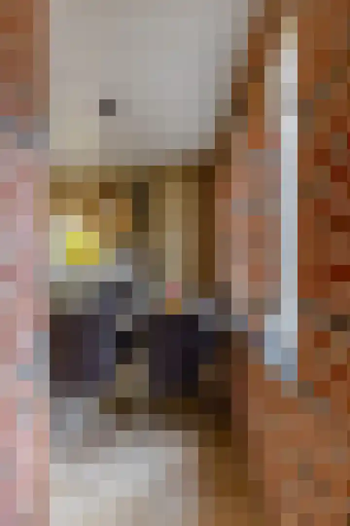 Ganzedrift 2 Slochteren thumbnail 25