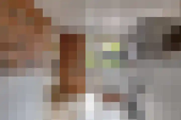 Ganzedrift 2 Slochteren thumbnail 27