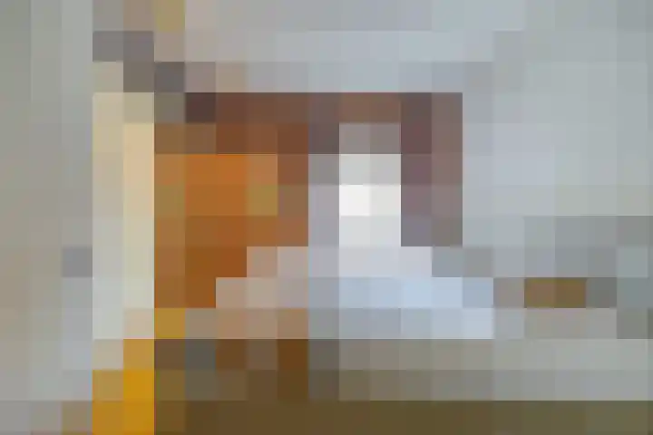 Ganzedrift 2 Slochteren thumbnail 31