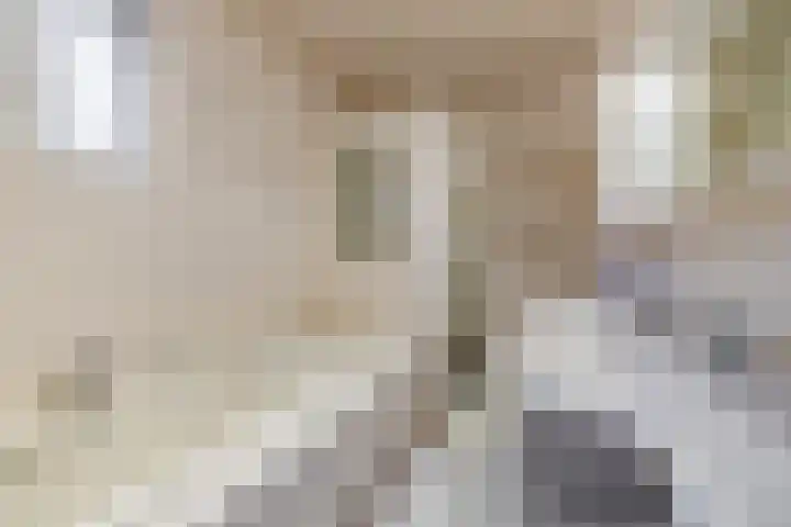 Ganzedrift 2 Slochteren thumbnail 33