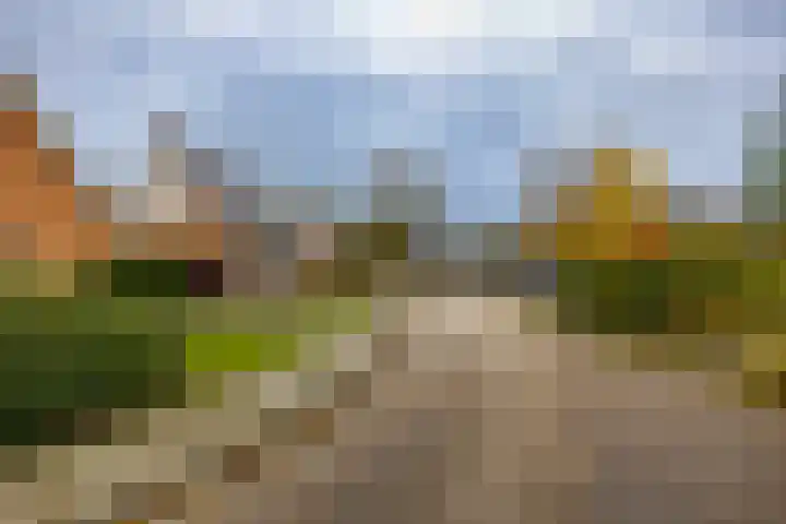 Ganzedrift 2 Slochteren thumbnail 4