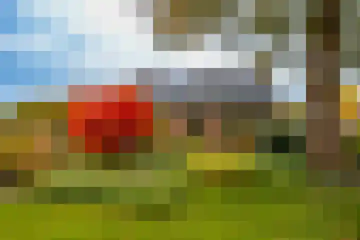 Ganzedrift 2 Slochteren thumbnail 58