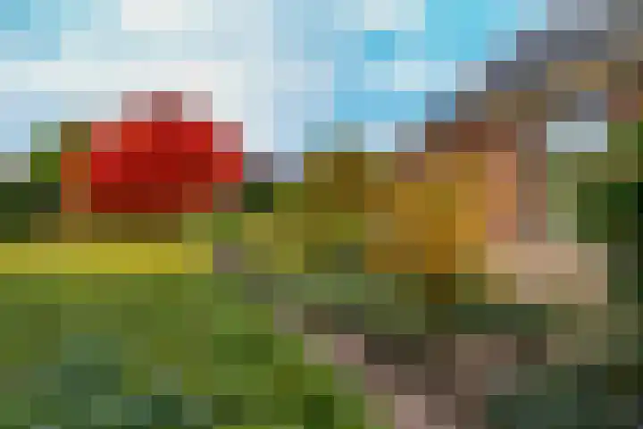 Ganzedrift 2 Slochteren thumbnail 60