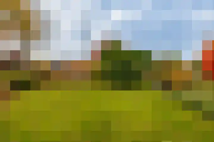 Ganzedrift 2 Slochteren thumbnail 62