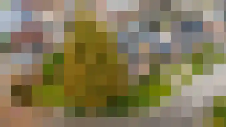 Ganzedrift 2 Slochteren thumbnail 64