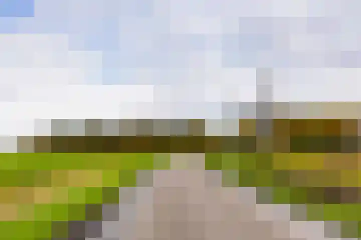 Ganzedrift 2 Slochteren thumbnail 69