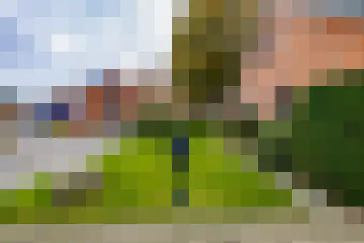 Ganzedrift 2 Slochteren thumbnail 7