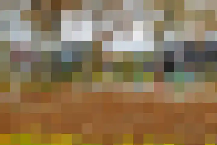 Ganzedrift 2 Slochteren thumbnail 70