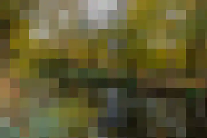 Ganzedrift 2 Slochteren thumbnail 71